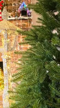Christmas Tree PE 180 CM Light Green - საახალწლო ნაძვის ხე 100 % სილიკონი, 3 image