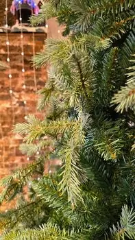 Christmas Tree PE + PVC 240 CM Light Green - საახალწლო ნაძვის ხე შერეული სილიკონის წიწვებით, 3 image
