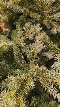 Christmas Tree PE + PVC 210 CM Light Green - საახალწლო ნაძვის ხე შერეული სილიკონის წიწვებით, 8 image