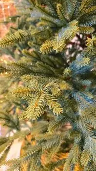 Christmas Tree 180 CM საახალწლო ნაძვის ხე 100% სილიკონი (OT2327), 7 image