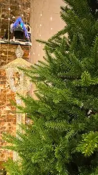 Christmas Tree PE 210 CM Light Green - საახალწლო ნაძვის ხე 100 % სილიკონი, 2 image
