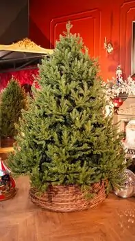 Riviera Alpine Christmas Tree 180 CM With Mixed Silicone Needle PE+PVC - ნაძვის ხე შერეული სილიკონის წიწვებით, 2 image