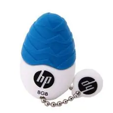 HP v270 8GB