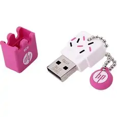 HP v178 4GB