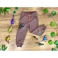 T-REX DINOSAUR ALG 223641 საბავშვო სპორტული შარვალი BROWN