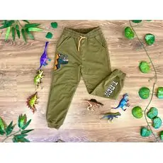 T-REX DINOSAUR ALG 223641 საბავშვო სპორტული შარვალი GREEN