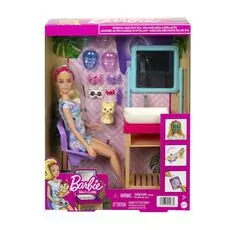 Barbie Sparkle Mask Day Spa Playset HCM82 ბარბის თოჯინა აქსესუარებით