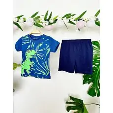 Big Dinosaur 2in1 Set საბავშვო ორეული