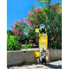 Penny Board Palms With LED Wheels პენიბორდი