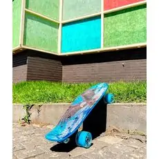 Penny Board Eagle With LED Wheels პენიბორდი