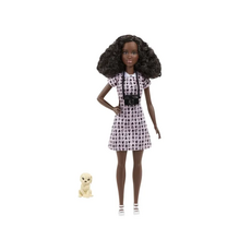 Barbie You Can Be Anything Animal Photographer  - ბარბის თოჯინა