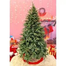 Christmas Tree 240 CM  ნაძვის ხე შერეული სილიკონის წიწვებით