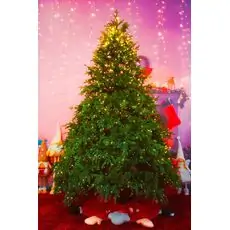Christmas Tree With Lights 240 CM  ნაძვის ხე შერეული სილიკონის წიწვებით და განათებით