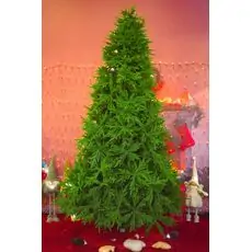 Christmas Tree საახალწლო ნაძვის ხე შერეული სილიკონის ტოტებით 270 სმ