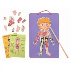 Tooky Toy Body Magnetic Chart TH842 - სათამაშო ადამიანის სხეულის ნაწილები