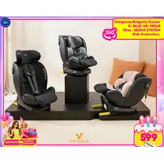 Cangaroo Castor I-SIZE 40-150cm Black, Grey, Pudra მანქანის სავარძელი (ქარსითი)