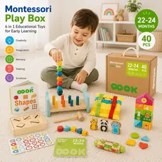 Tooky toy  Montessori Play Box  - განსავითარებელი სათამაშო