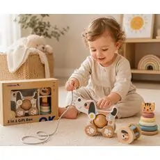 Tooky Toy 3 In 1 Gift Box - ხის განსავითარებელი სათამაშოების ნაკრები