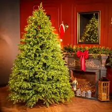 Christmas Tree With Lights  - საახალწლო ნაძვის ხე შერეული სილიკონის წიწვებით და განათებით 240 CM (OT2335)