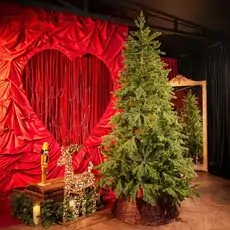 Christmas Tree Green 240 CM PE  საახალწლო ნაძვის ხე, 100% სილიკონი