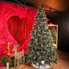 Lidiya Green Christmas Tree With White Tips PVC 250CM - ნაძვის ხე თეთრი ბოლოებით