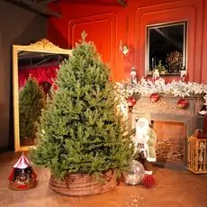 Riviera Alpine Christmas Tree 180 CM With Mixed Silicone Needle PE+PVC - ნაძვის ხე შერეული სილიკონის წიწვებით