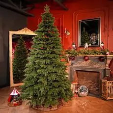Ukrainian Christmas Tree 230 CM 100 % Silicone Needle - ნაძვის ხე 100% სილიკონი