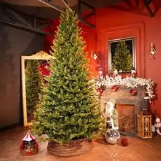 Nordgran Christmas Tree Nordgran With Mixed Silicone Needle 270 CM - ნაძვის ხე შერეული სილიკონის წიწვებით