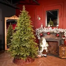 Winterlyn Christmas Tree 100% Silicone Needle With Lights PE 210 CM - ნაძვის ხე 100% სილიკონის წიწვებით და განათებით