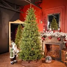 Christmas Tree 100% Silicone PE 240 CM  - ნაძვის ხე 100% სილიკონი