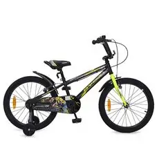 Byox-ის საბავშვო ველოსიპედი CHILDREN BICYCLE 20 MASTER PRINCE GREEN