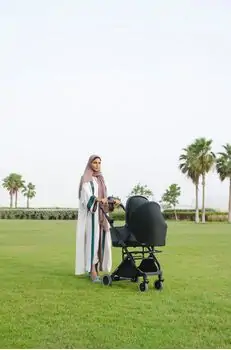 Anex Air-X Travel Cot Black საბავშვო ეტლის გონდოლა, 11 image