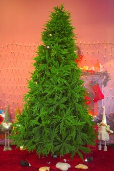 Christmas Tree საახალწლო ნაძვის ხე შერეული სილიკონის ტოტებით 270 სმ