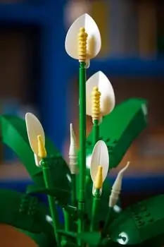 Lego Botanicals 11504 Peace Lily, 13 image
