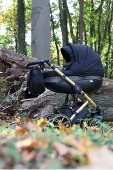 Baby Merc Faster 3 L/143 საბავშვო ეტლის 2x1 ეტლის კომპლექტი, 7 image