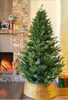 Christmas Tree 210 CM PE + PVC - ნაძვის ხე შერეული სილიკონის წიწვებით