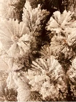 Snow-Covered Christmas Tree დათოვლილი საახალწლო ნაძვის ხე 240 სმ (OT737), 4 image