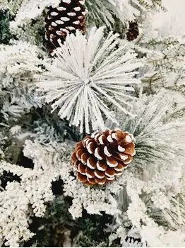 Snow-Covered Christmas Tree With Pine Cones დათოვლილი საახალწლო ნაძვის ხე გირჩით 210 სმ (OT719), 3 image