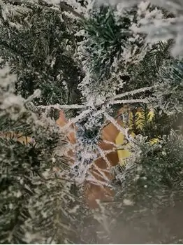 Snow-Covered Christmas Tree  დათოვლილი საახალწლო ნაძვის ხე 180 სმ (OT716), 5 image