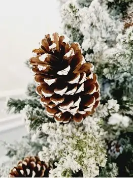 Snow-Covered Christmas Tree დათოვლილი საახალწლო ნაძვის ხე გირჩით 180 სმ (OT718), 4 image