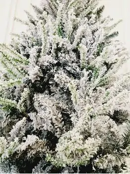 Snow-Covered Christmas Tree 210 cm დათოვლილი საახალწლო ნაძვის ხე  (OT717), 3 image