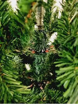 Christmas Tree With Lights საახალწლო ნაძვის ხე განათებით 210 სმ (OT720), 3 image