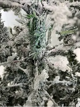 Snow-Covered Christmas Tree დათოვლილი საახალწლო ნაძვის ხე სილიკონის ტოტებით 240 სმ (OT2002), 5 image