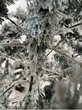 Snow-Covered Christmas Tree დათოვლილი საახალწლო ნაძვის ხე 210 სმ (OT007), 4 image