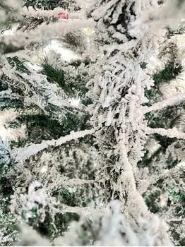 Snow-Covered Christmas Tree  დათოვლილი საახალწლო ნაძვის ხე 240 სმ (OT2011), 6 image