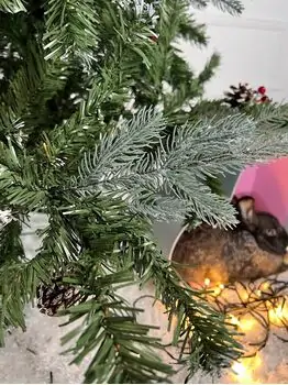 Christmas Tree With Pine Cones And Berries საახალწლო ნაძვის ხე შერეული სილიკონის წიწვებით გირჩით და კენკრით 210 სმ (OT028), 2 image