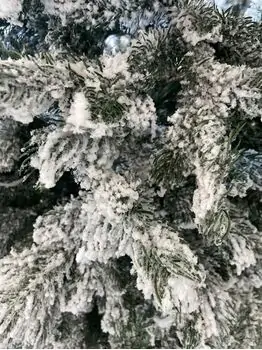 Snow-Covered Christmas Tree დათოვლილი საახალწლო ნაძვის ხე 180 სმ (OT2012), 3 image