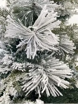 Snow-Covered Christmas Tree დათოვლილი საახალწლო ნაძვის ხე 240 სმ (OT2009), 16 image