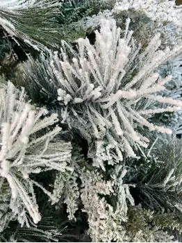 Snow-Covered Christmas Tree დათოვლილი საახალწლო ნაძვის ხე 210 სმ (OT2008), 14 image
