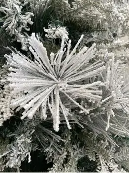 Snow-Covered Christmas Tree დათოვლილი საახალწლო ნაძვის ხე 180 სმ (OT2007), 11 image